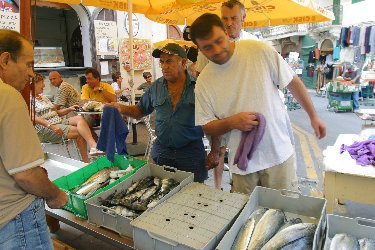 Fresh fish to shop for